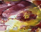 Polished Mookaite Jasper Slab - Australia #65025-1